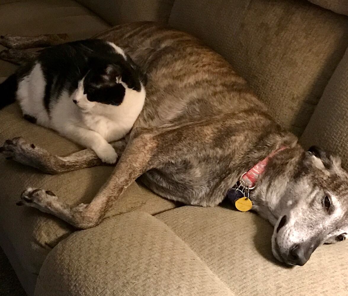 PHOTOS: It’s National Puppy Day, and our staff shows off their best friends