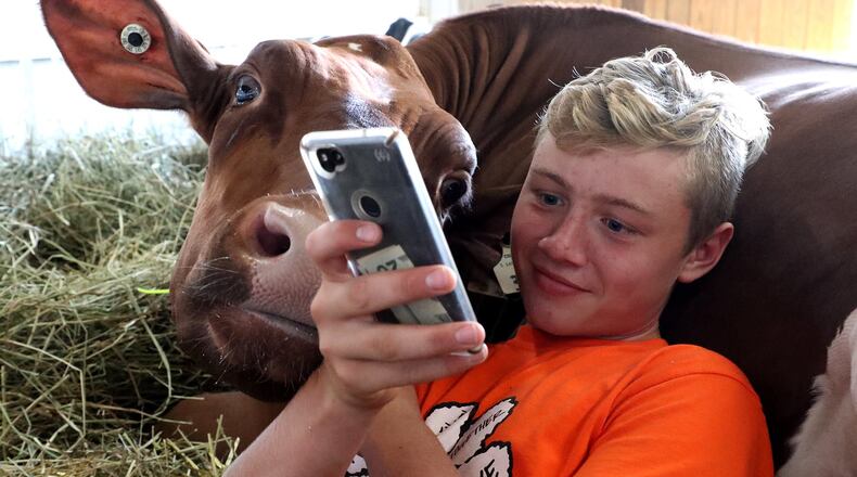 Hayden King, 14, and his dairy cow play games on his cell phone to pass the time Friday, August 3, 2018 in one of the barns at the Champaign County Fair. The fair officially opened Friday and runs through August 10. BILL LACKEY/STAFF