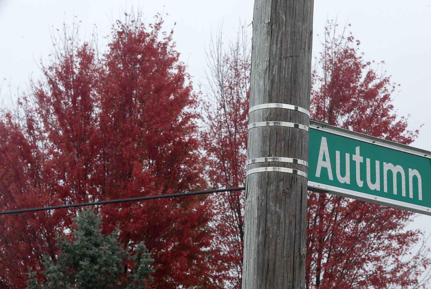 Clark County Fall Colors