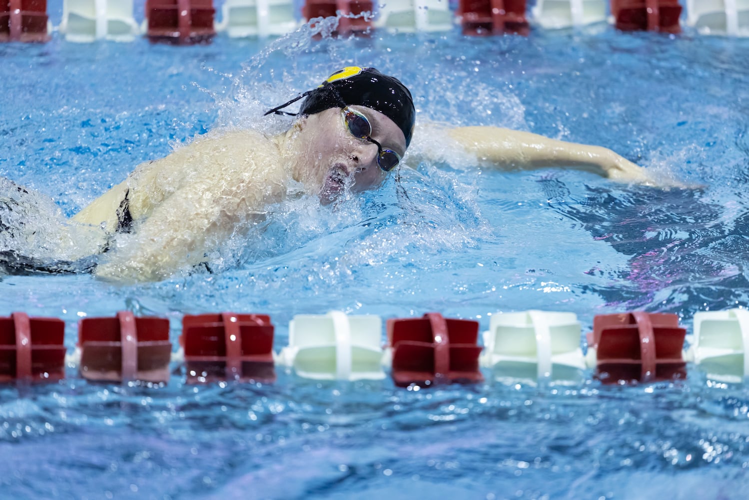 clark county swimming