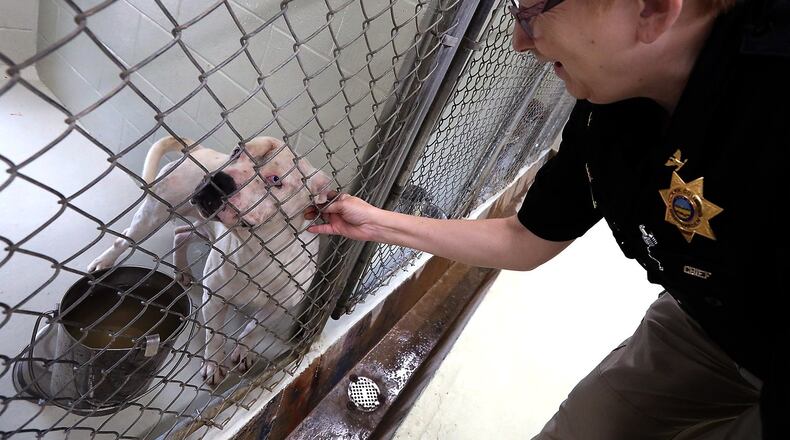 Clark County Dog Warden Sandi Click gives some attention to a pooch waiting for a home at the Clark County Dog Shelter Thursday, July 5, 2018. BILL LACKEY/STAFF