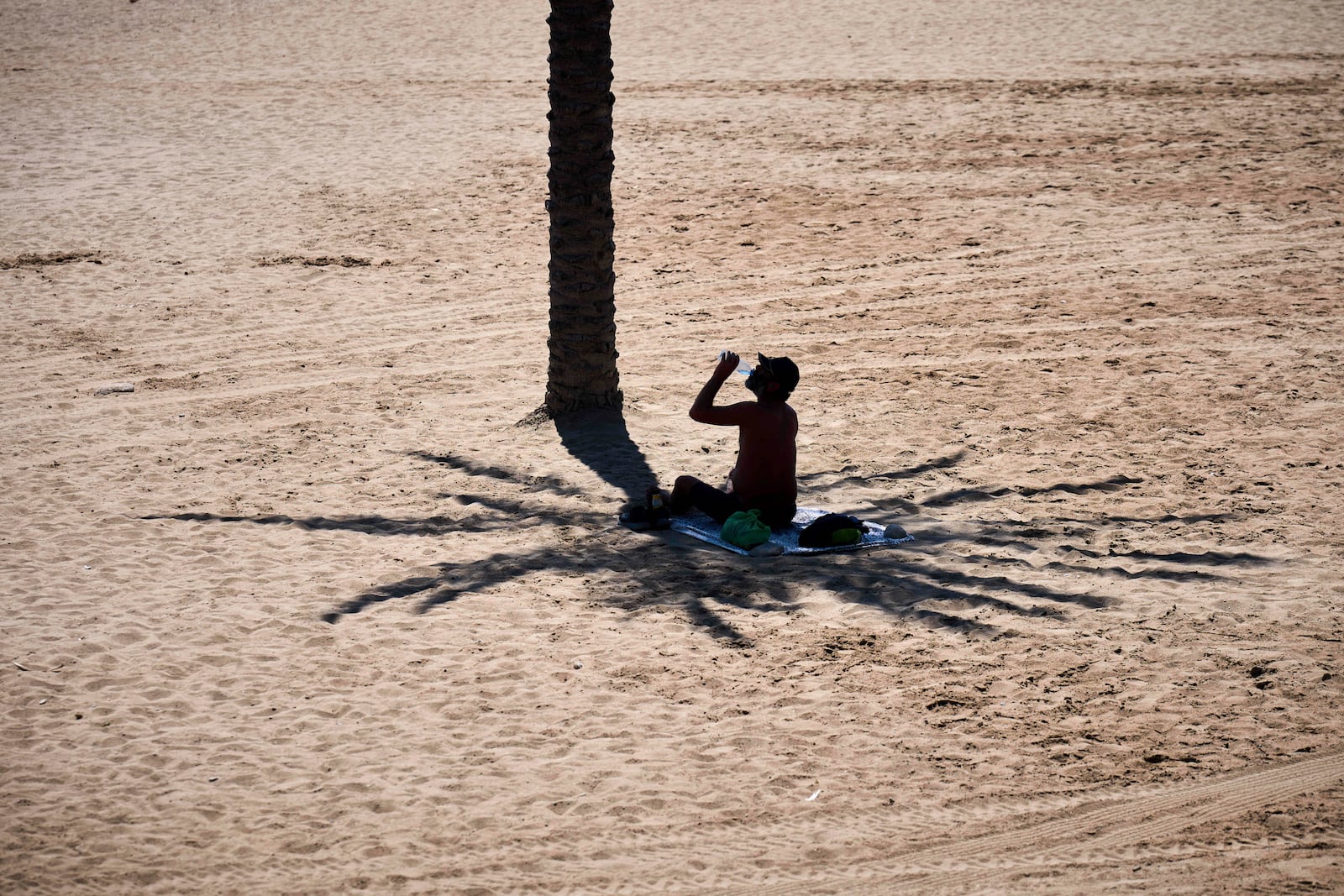 A man takes advantage of the shade of a palm tree to protect himself from the sun while hydrating himself by drinking water, on a hot day at the beach in Barcelona, Spain, Wednesday, July 2, 2025. (AP Photo/Emilio Morenatti)