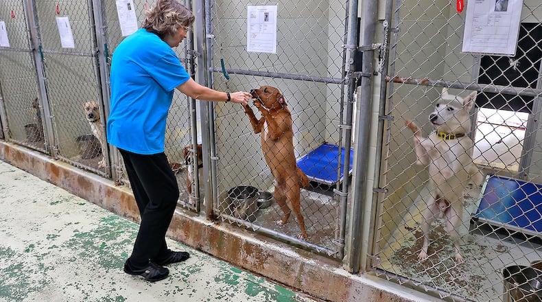 Clark County Dog Warden Sandy Click says hello to a dog as she walks through the kennel at the Clark County Dog Shelter Thursday, June 22, 2023. BILL LACKEY/STAFF