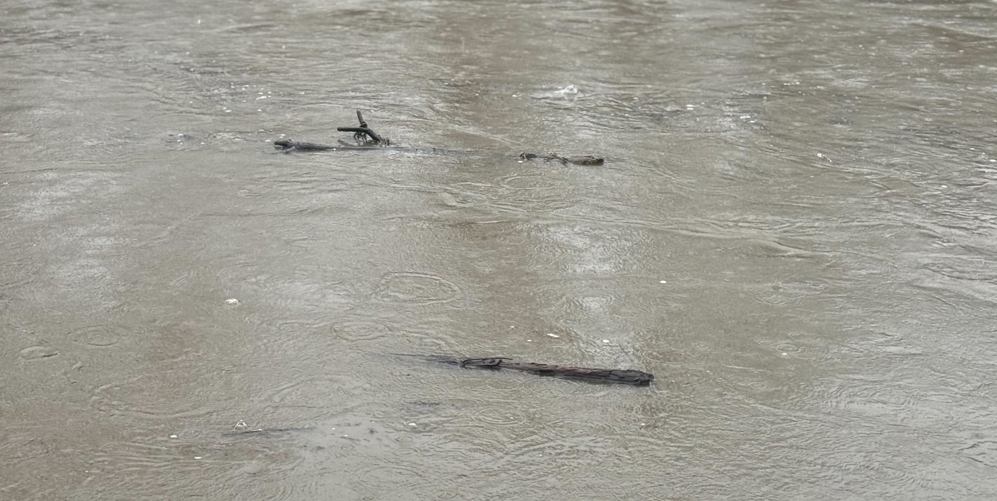 Springfield Flooding