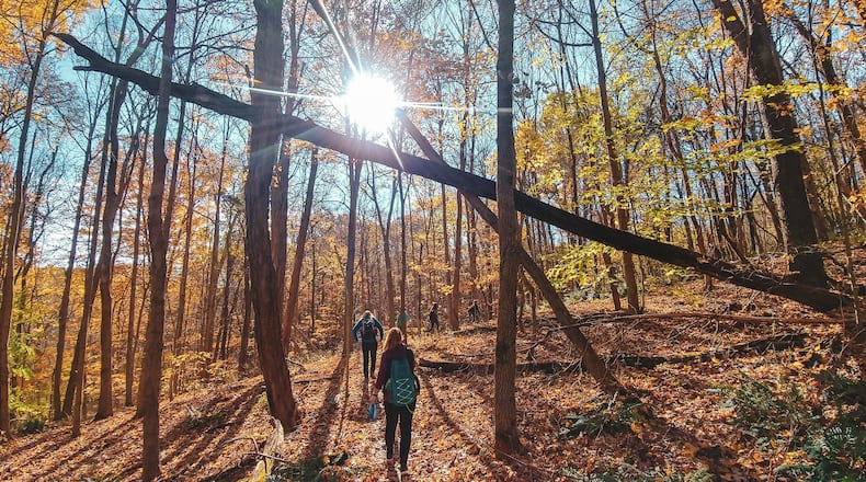 Ohio fall color forester David Parrott suggests heading into the forest for better fall color. CONTRIBUTED ODNR