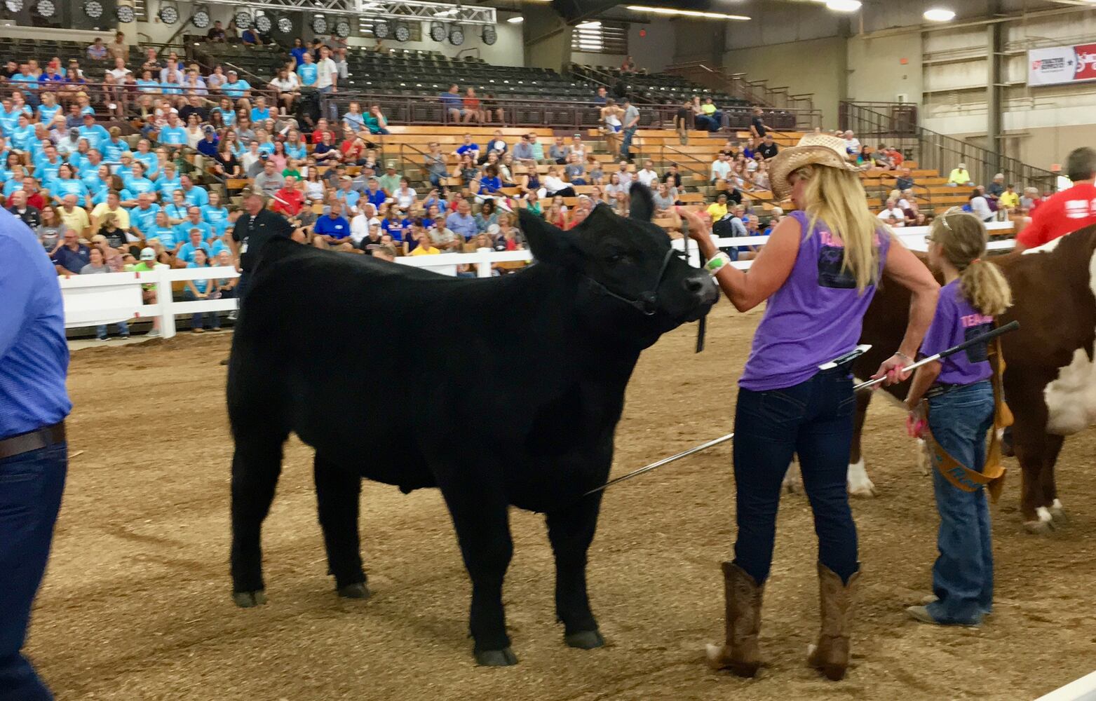 Dean's Charity Steer Show at Ohio State Fair