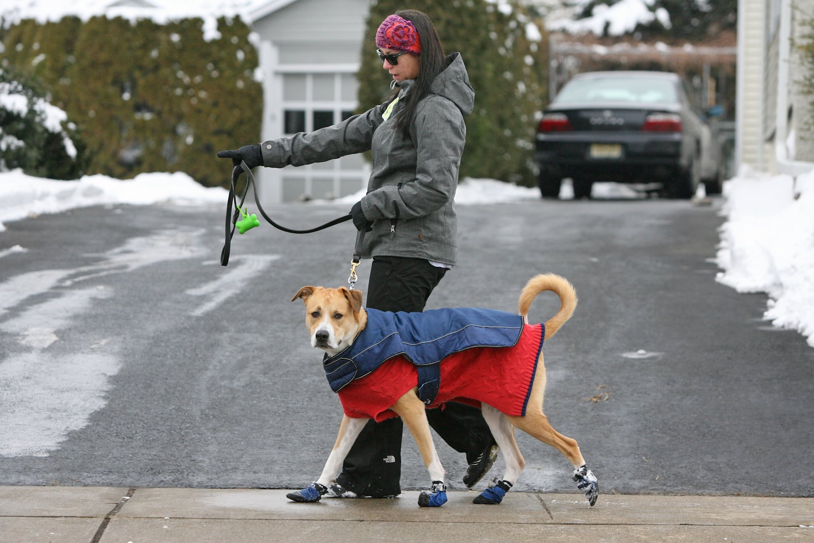Kristen Agle of Hawthorne walks her dog Fenley who is protected from the elements with a sweater, weatherproof vest and boots, Sunday Jan. 5, 2014, in Hawthorne, NJ. (AP Photo/The Record, Chris Pedota)