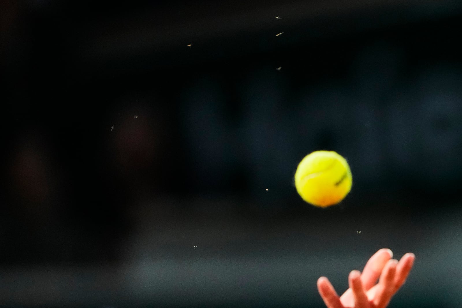 Bugs fly as Germany's Alexander Zverev serves against Serbia's Novak Djokovic during their quarterfinal match of the French Tennis Open at the Roland-Garros stadium in Paris, Wednesday, June 4, 2025. (AP Photo/Lindsey Wasson)