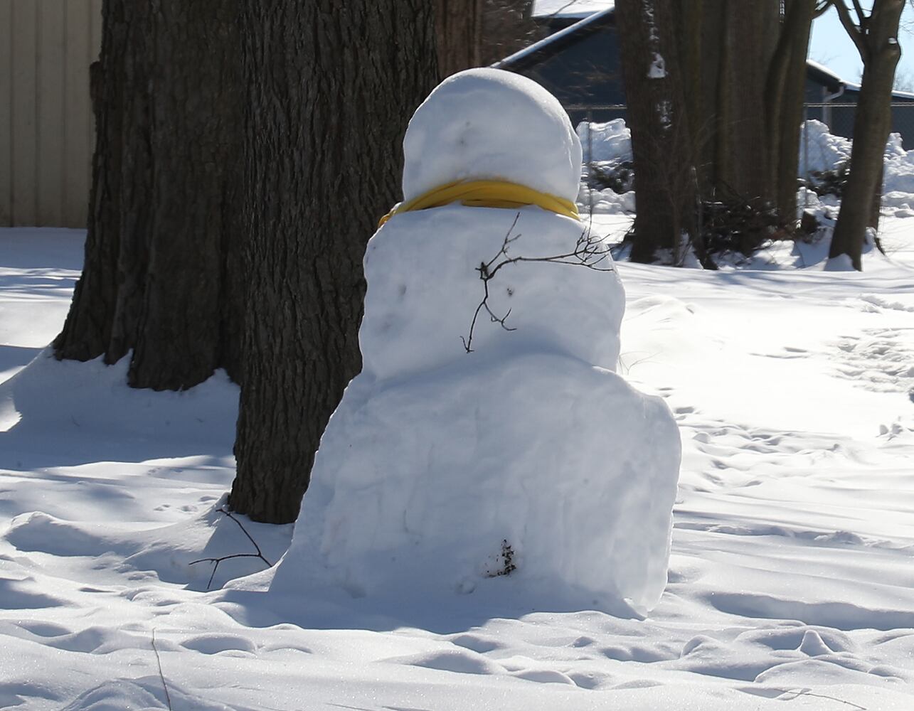 020321 Snowmen SNS