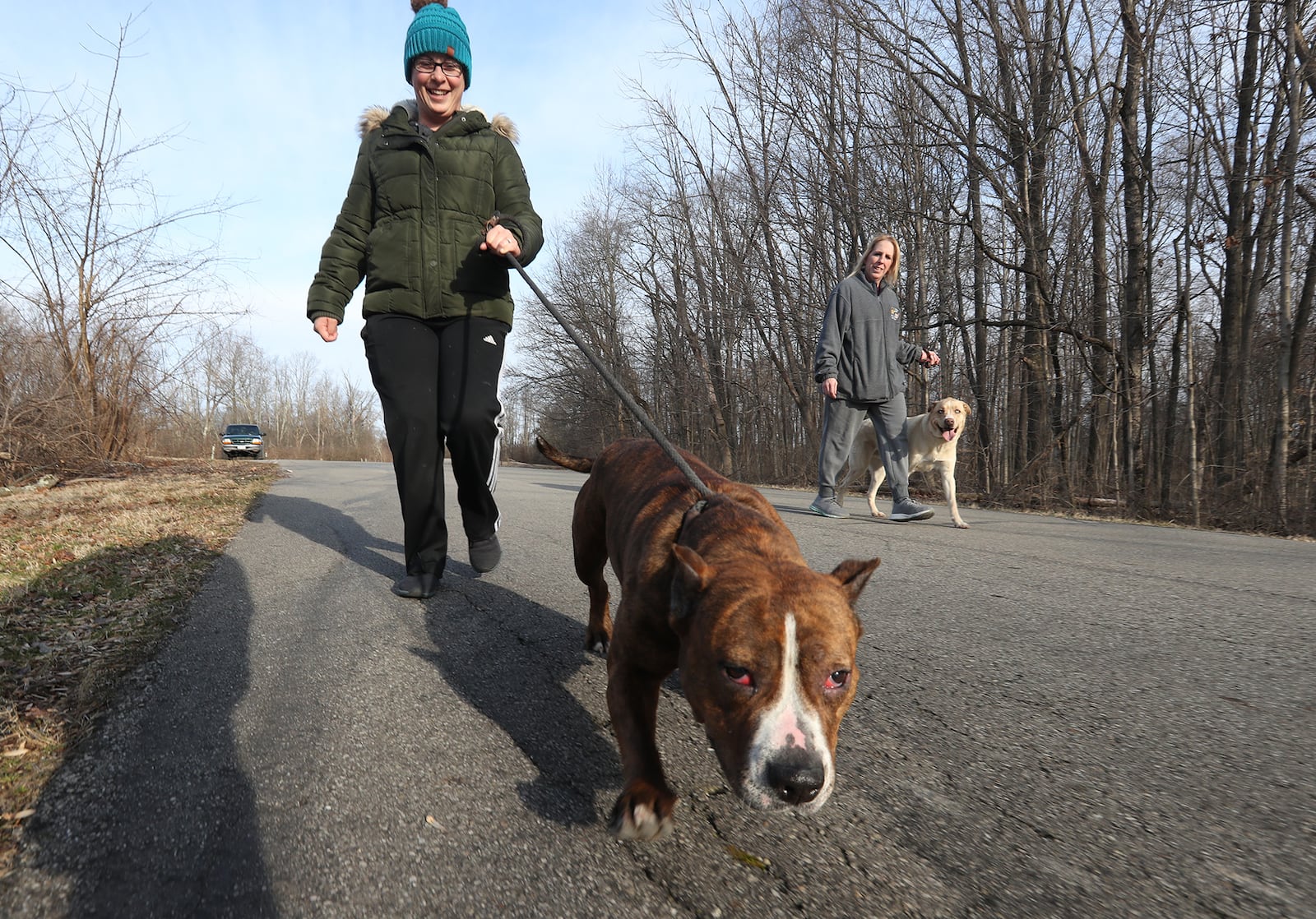 Ashley Harder, from the Clark County SPCA, walks Alice, one of the dogs from the SPCA shelter as Laurie Beard walks Soloman Thursday morning at George Rogers Clark Park during Walk With A Hound. Every third Thursday of the month people can contact the SPCA and ask to participate in Hike with a Hound. The then can take one of the dogs to the park for some exercise. BILL LACKEY/STAFF