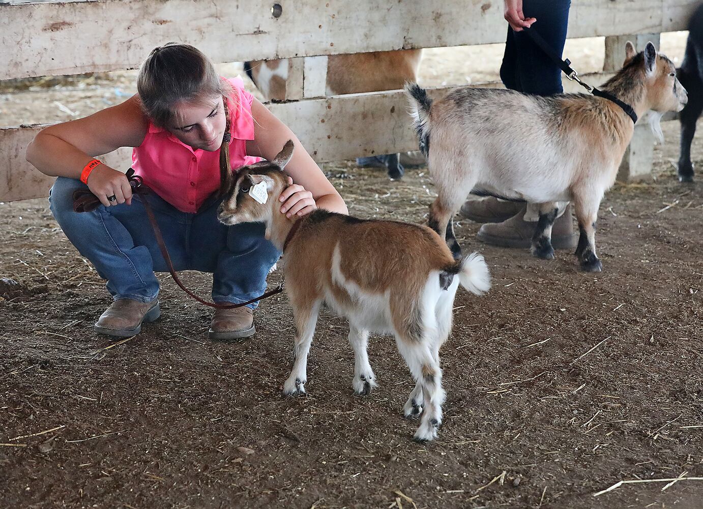 2018 Clark County Fair Day 4