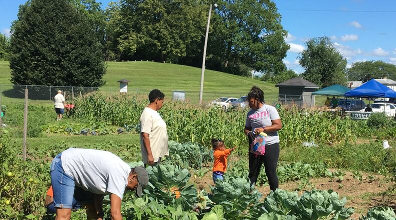 The fourth annual Grilling in the Garden and Garden Tour at the Jefferson Street Oasis Garden will be held on Saturday. Fresh veggies straight from the garden will be grilled for visitors to enjoy during the event. CONTRIBUTED