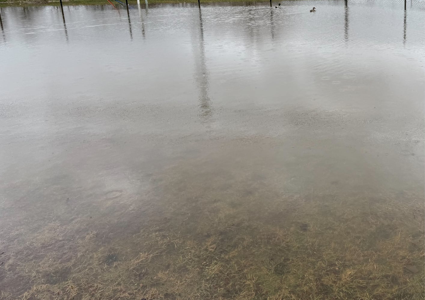 Springfield Flooding