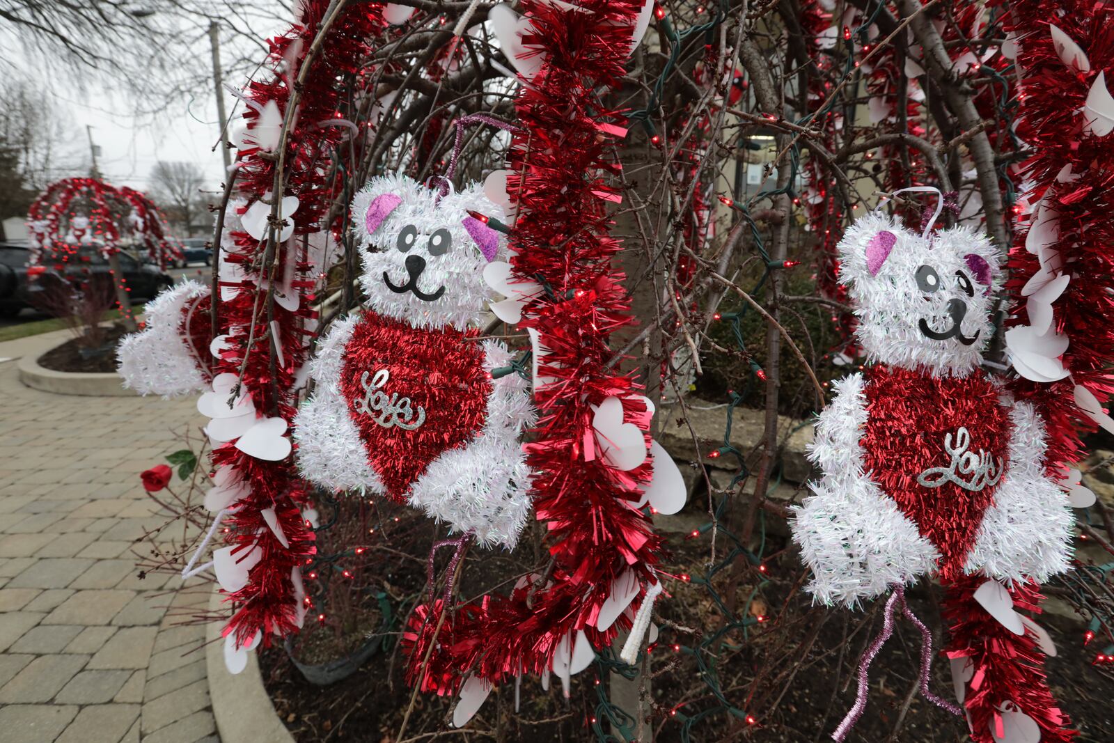 The Madison Avenue Pharmacy is showing their Valentines Day spirit with decorations and ride holiday lights in their trees as well as on their building. BILL LACKEY/STAFF