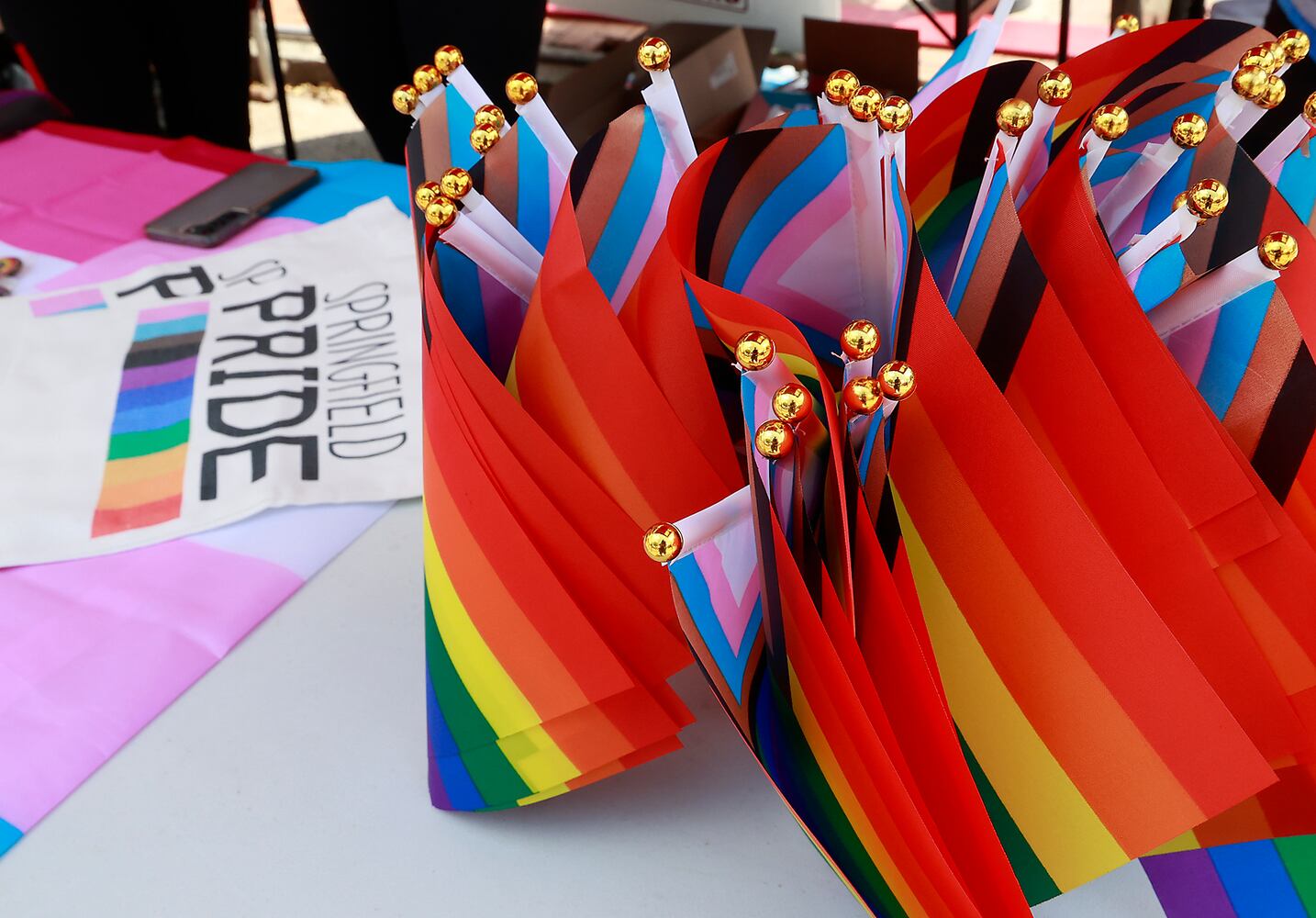 Pride Fest SNS