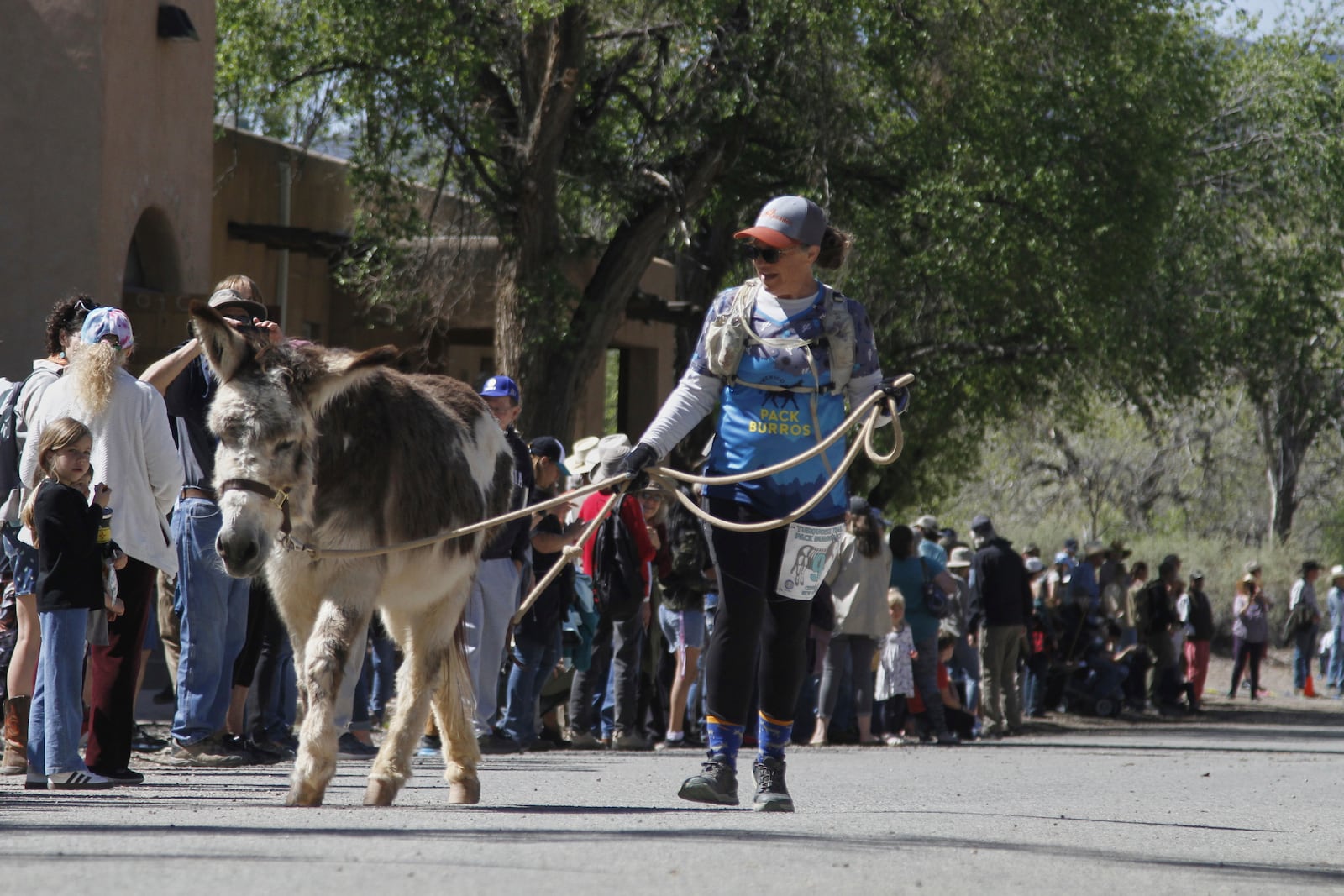Pack burros and their human companions race through the streets of a former mining town and across backcountry desert trails in Cerrillos, N.M., on Saturday, May 3, 2025. (AP Photo/Morgan Lee)