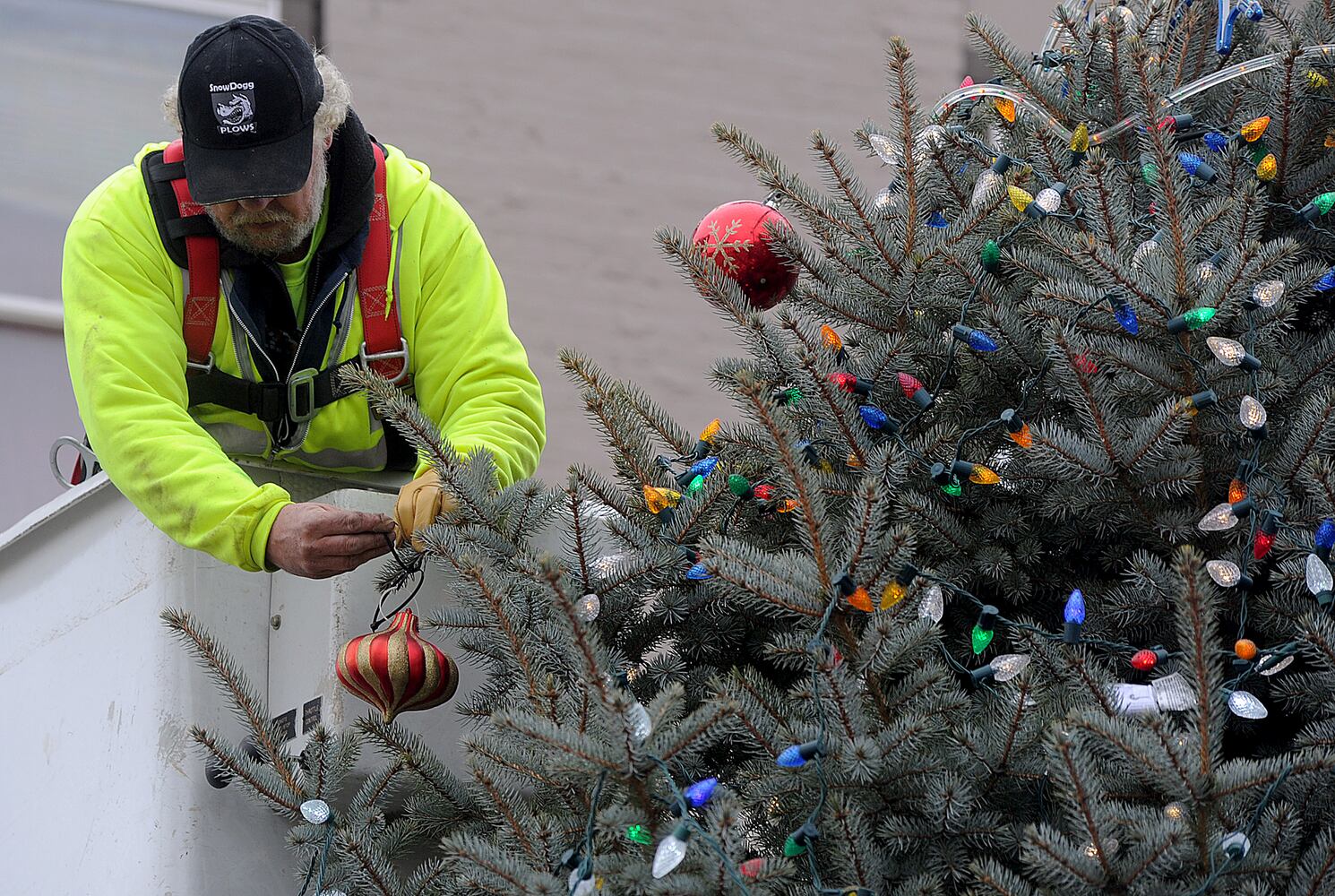 New Carlisle Christmas tree