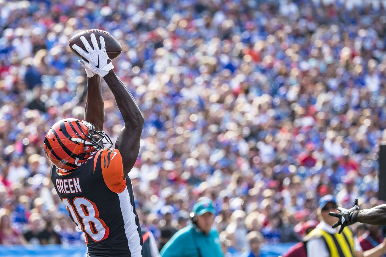 bengals-bills