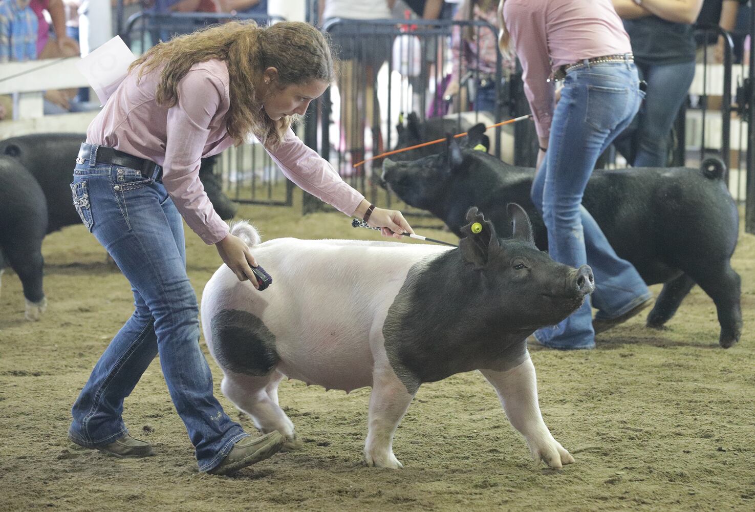 072621 Clark County Fair SNS