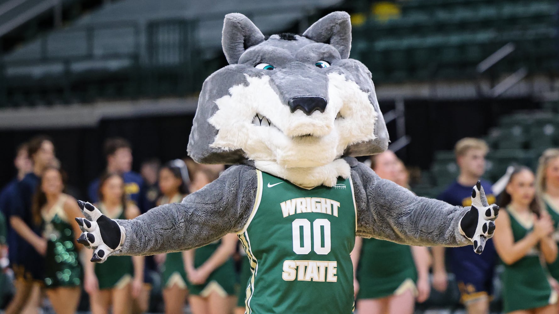 DDN 110325 Franklin College Wright State