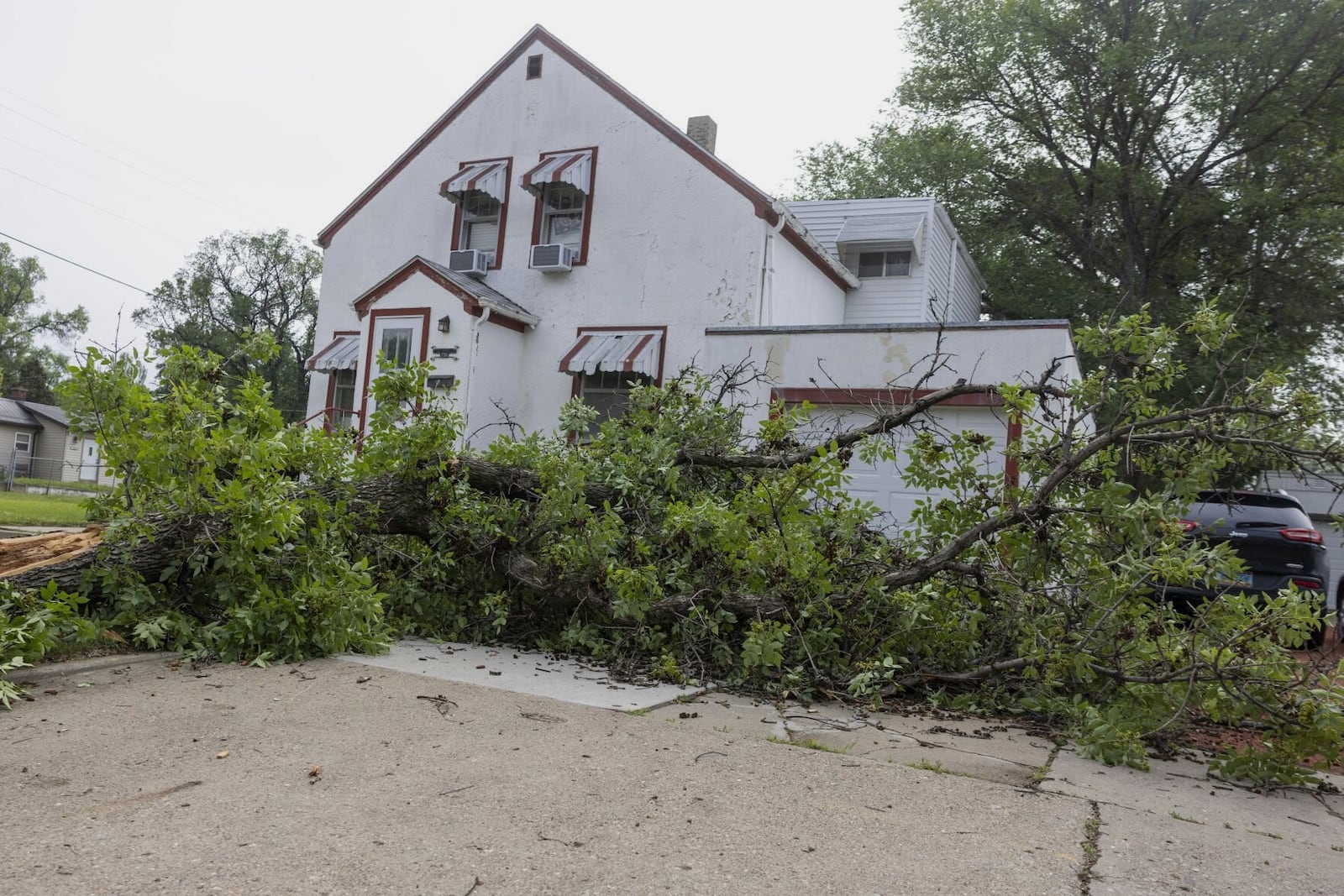 A broken tree lays in a yard from the previous night's severe thunderstorms in Bismarck, N.D., on Saturday, June 21, 2025. (Tanner Ecker /The Bismarck Tribune via AP)