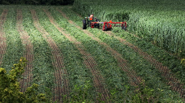 Thanksgiving is a time to be thankful for Ohio farmers like this one harvesting a field of sugarcane along Tremont City Road this fall.