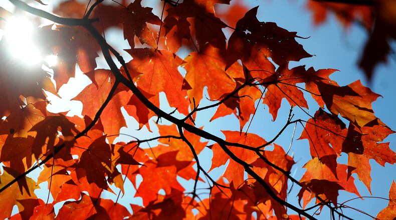 As the days grow shorter and the air gets cooler, Mother Nature has started pulling back the blanket of green foliage to reveal the bright reds, yellows, oranges and browns of autumn at Lincoln Park in Kettering. MARSHALL GORBY\STAFF