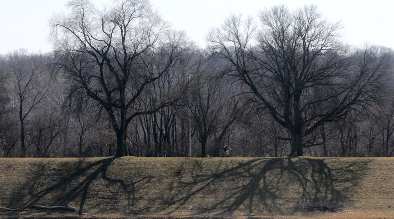 With the sunny weather the shadows of the trees along the river on Patterson Road resemble the roots of the trees.