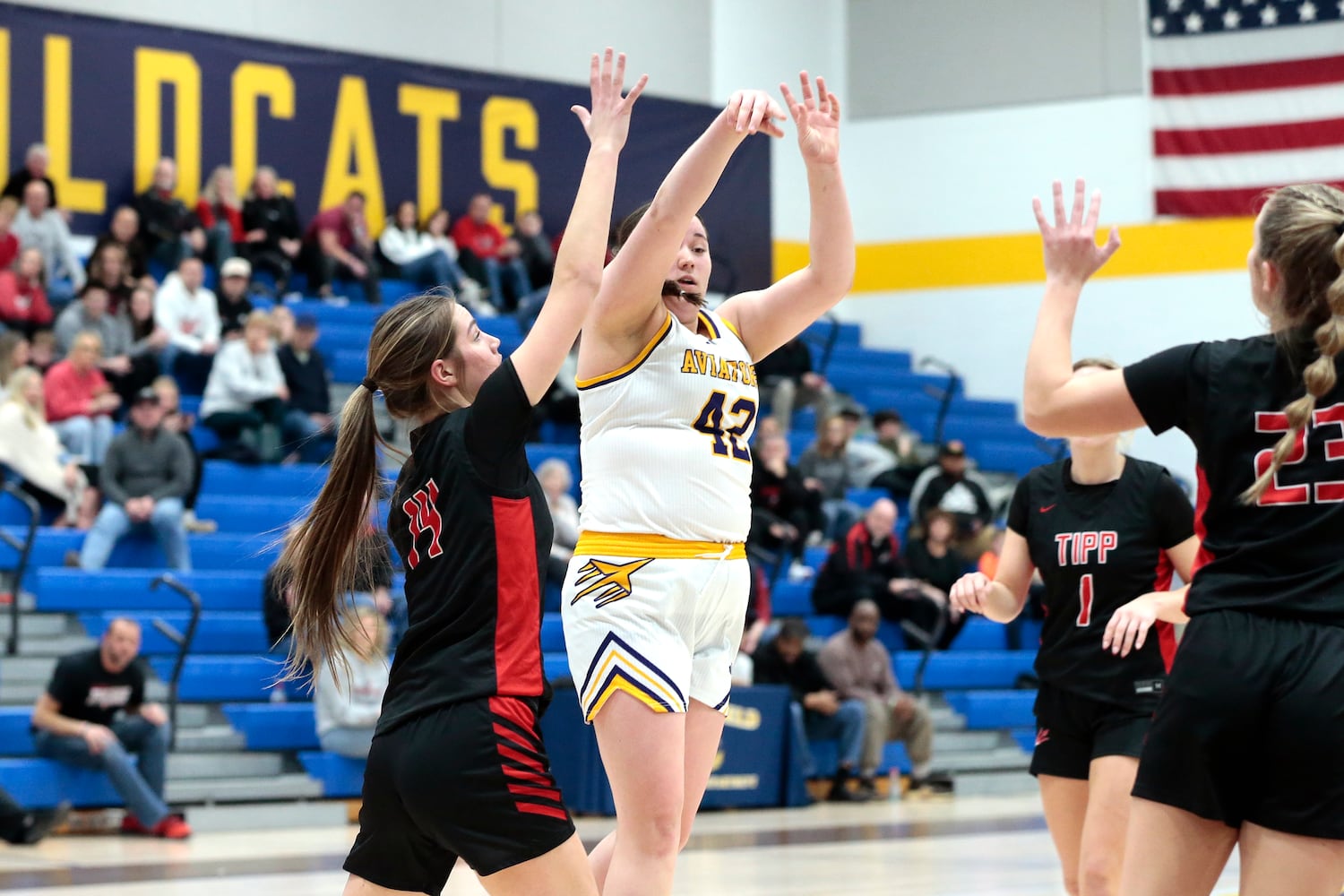 Tippecanoe Butler basketball