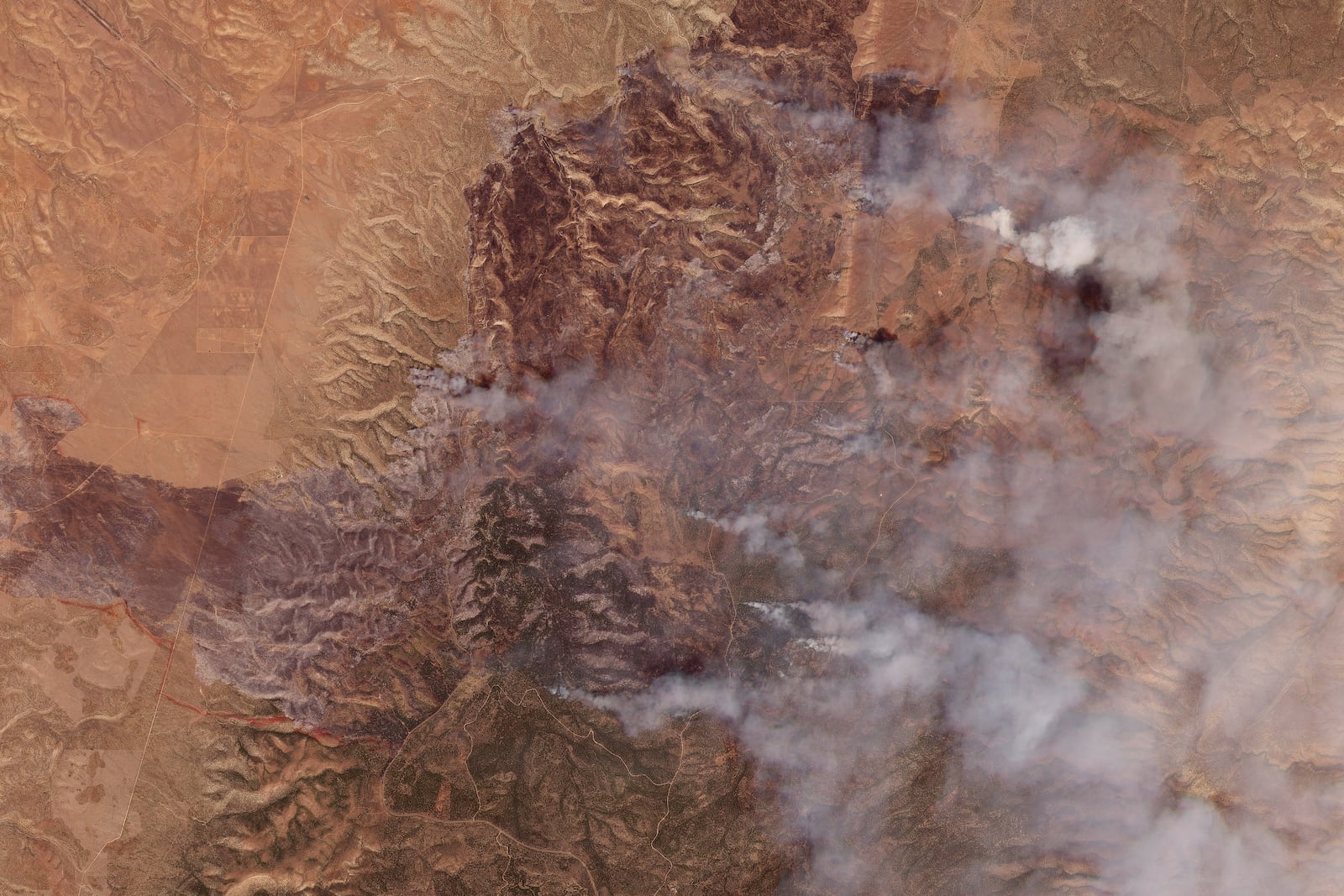This satellite image provided by Planet Labs PBC shows smoke from the White Sage Fire in Coconino County, Arizona, on Sunday, July 13, 2025. (Planet Labs PBC via AP)