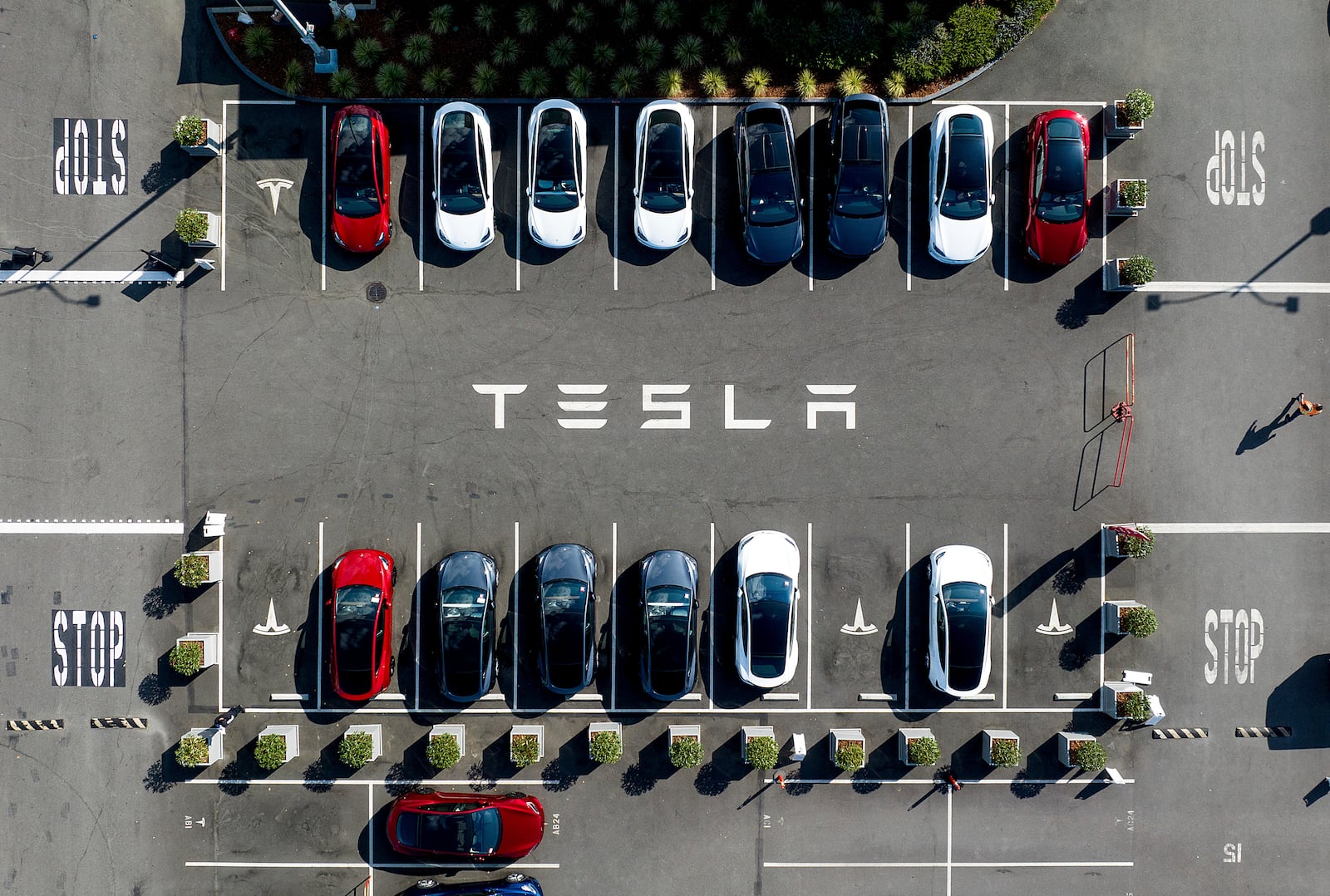 FILE - Tesla vehicles line a parking lot at the company's Fremont, Calif., factory on Sept. 18, 2023. (AP Photo/Noah Berger, file)