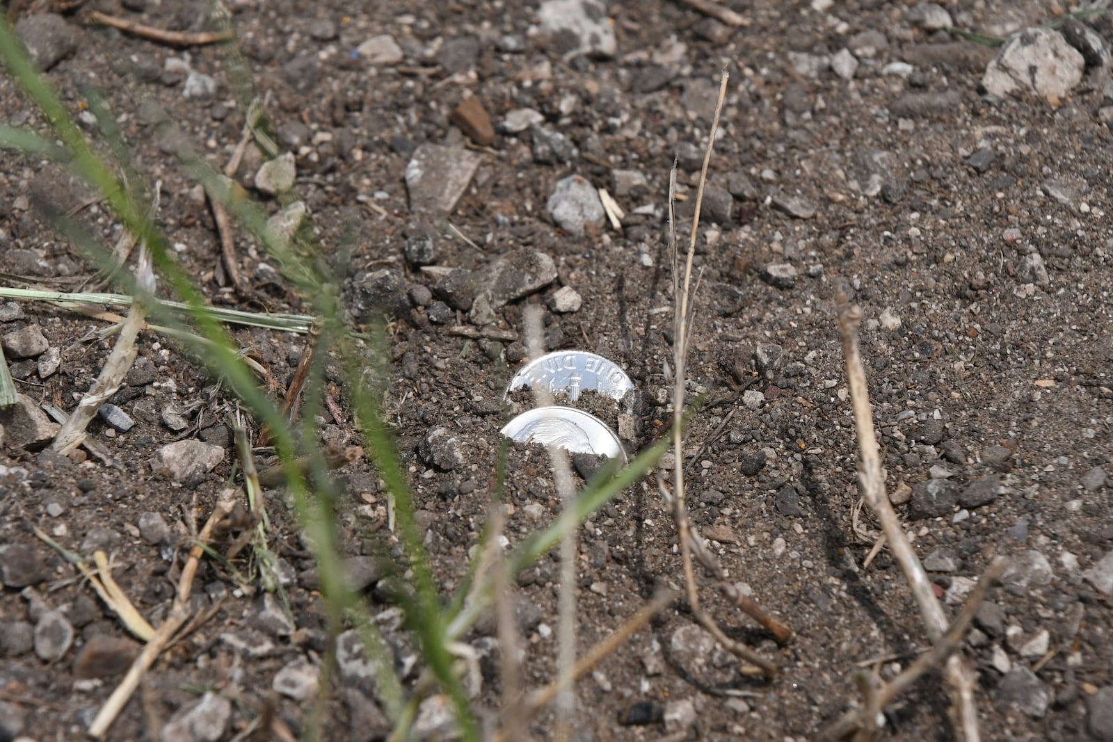 This image provided by the Wise County Messenger shows two shiny dimes peaking out from the dirt in the median U.S. 81/287 near Farm Road 1655 after a truck toting millions of the coins overturned, Tuesday, April 29, 2025 in Alvord, Texas. (Austin Jackson/Wise County Messenger via AP)
