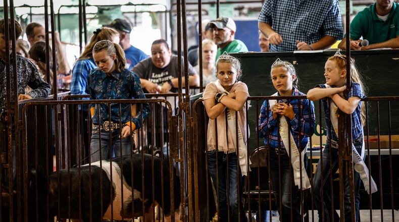 Swine princesses from left, Aubrey Lide, Alyssa Miller and Bella Neville watch the swine showmanship competition at the Greene County Fair on August 2, 2021. JIM NOELKER/STAFF