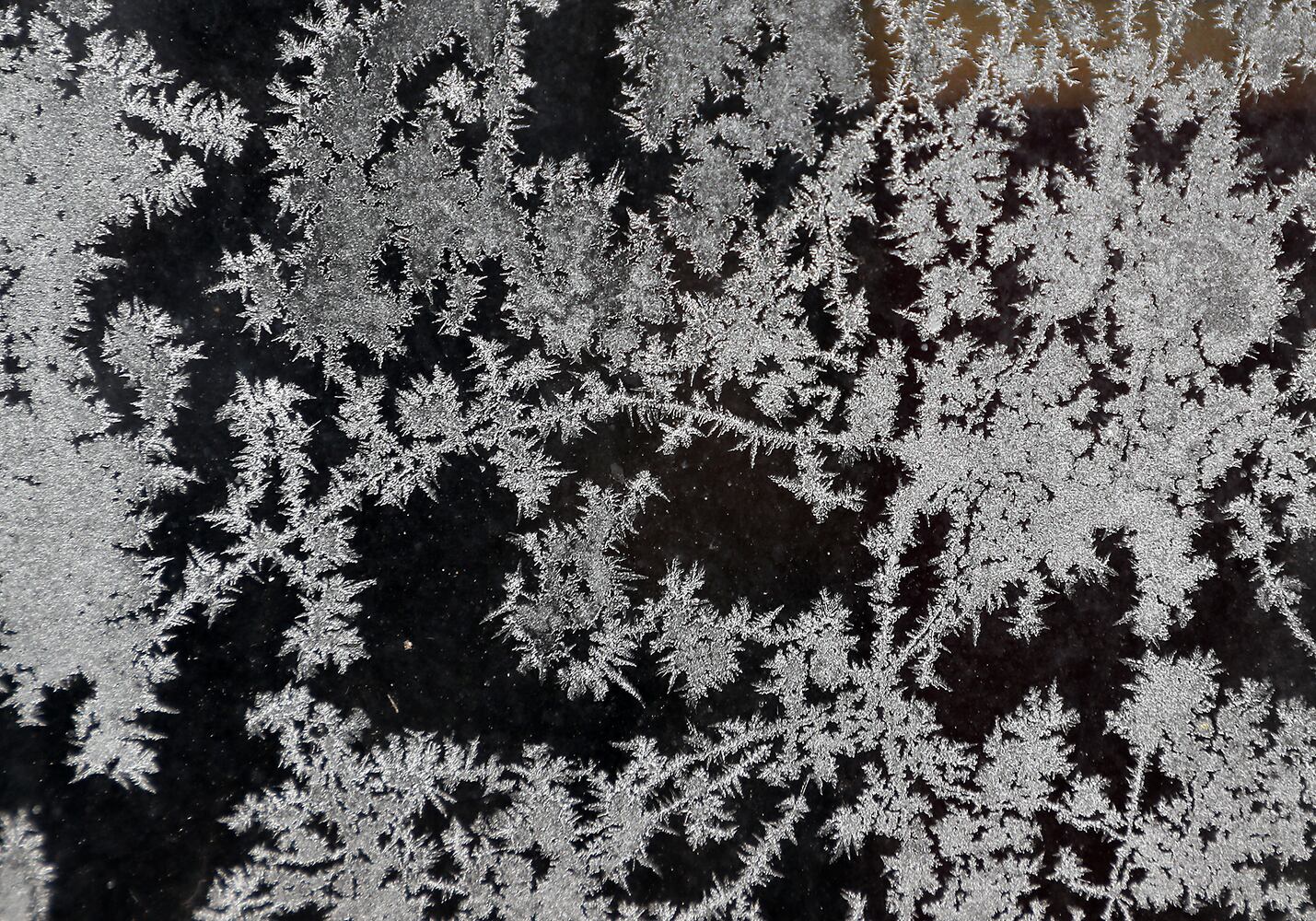 Frigid Temperatures in Springfield
