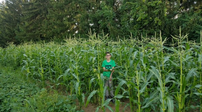 Community gardening helps New Carlisle families put fresh fruits and vegetables on the table. CONTRIBUTED