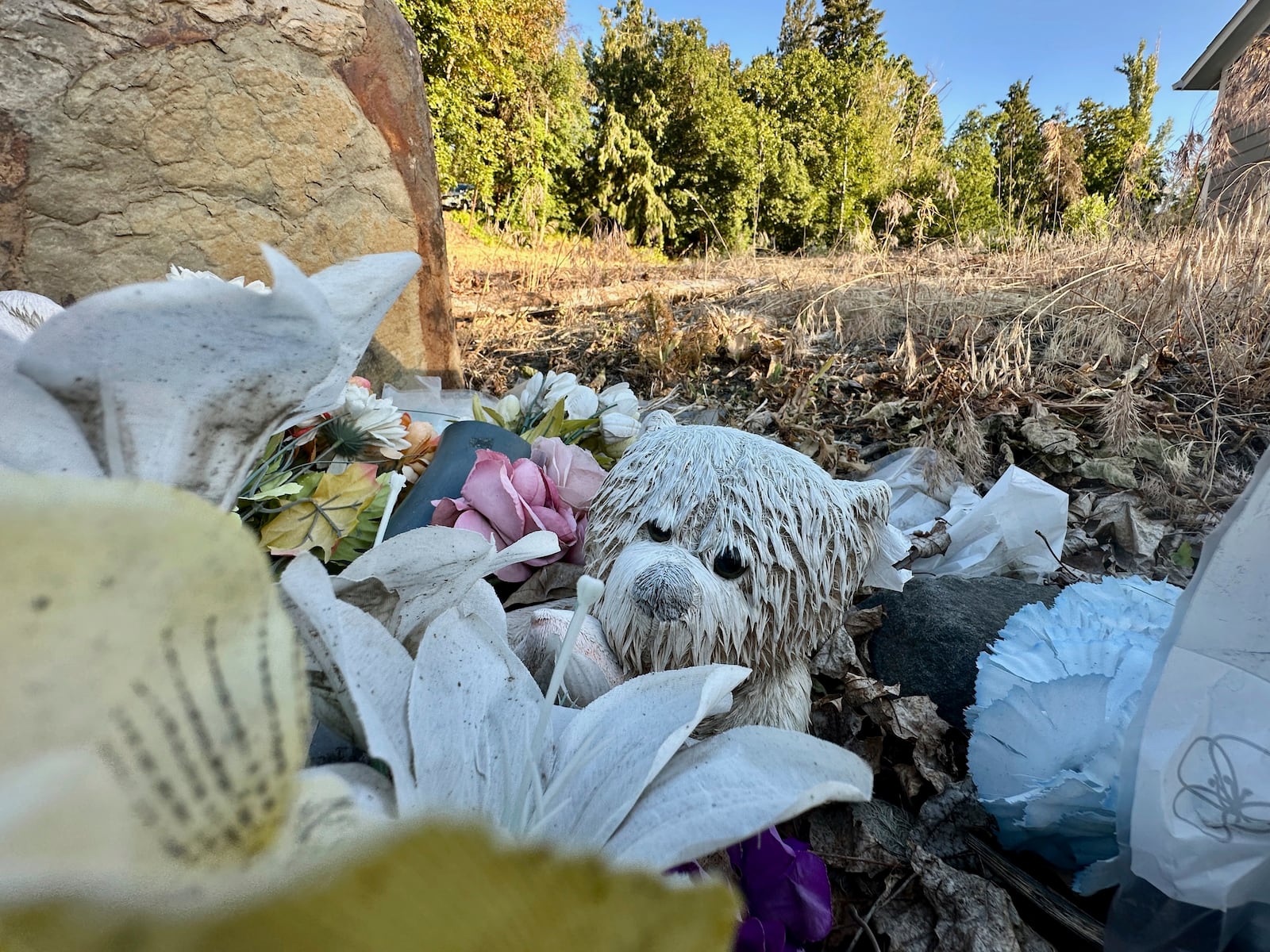 An empty lot stands on Monday, June 30, 2025, at the site where four University of Idaho students were killed in November 2022 inside a house in Moscow, Idaho. (AP Photo/Manuel Valdes)
