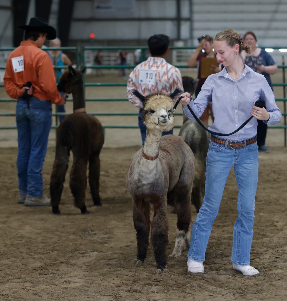 "Showman of Showmen" Contest