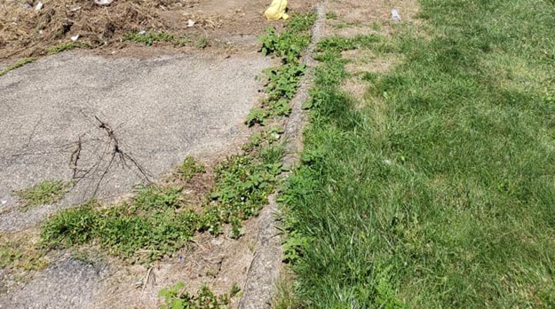 Some of the progress made by Springfield's Jalen Wood at a small park at the corner of Sunset Ave. and Delta Rd. during a cleaning project Aug. 8-9. Submitted