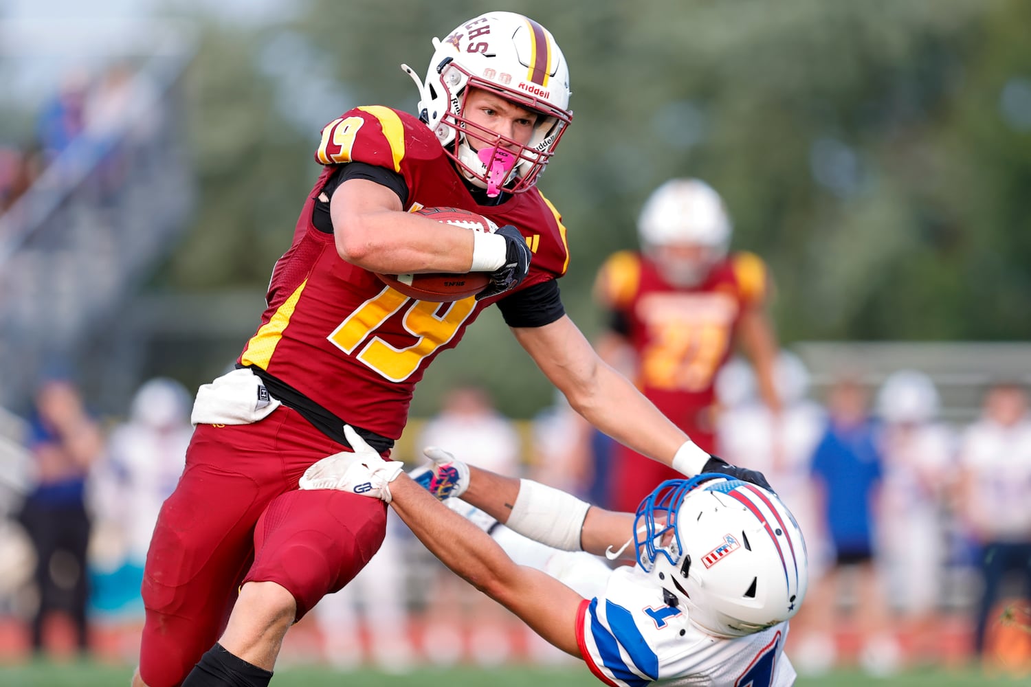 northeastern greeneview hsfb