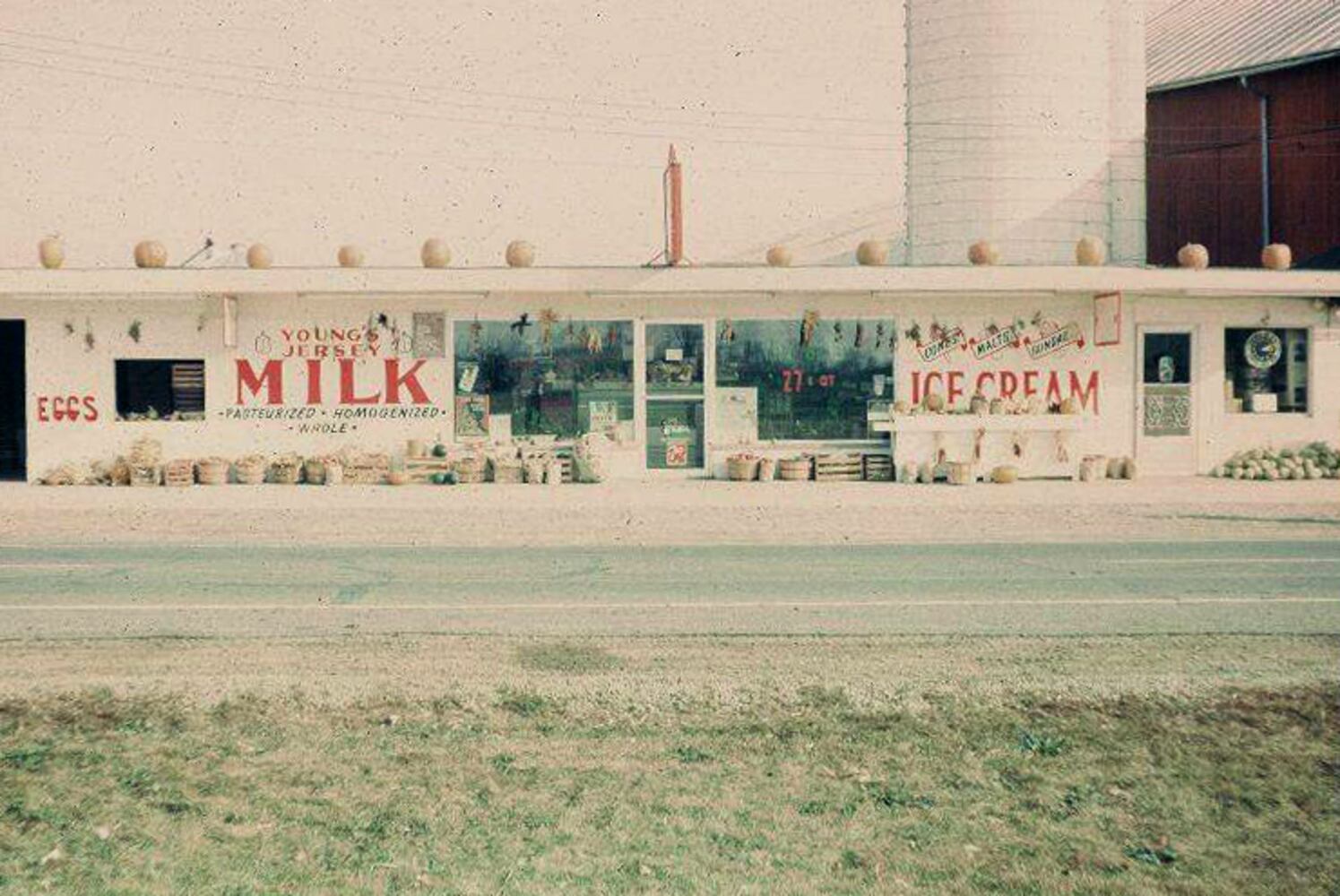 Young's Jersey Dairy