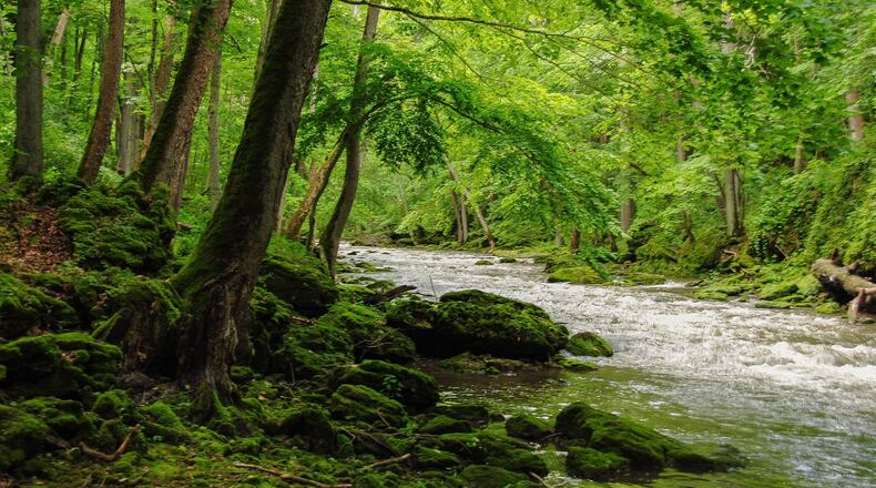 John Bryan State Park and its limestone gorges are just a mile away from Yellow Springs. Source: Courtesy of Stephanie O Grady/Ohio Department of Natural Resources.