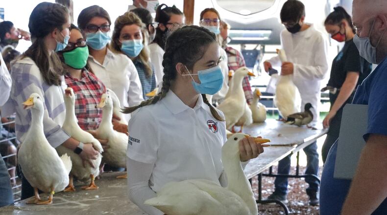 Gillian Smith, 16, answers questions about her duck from the judge on July 29, 2020 as she shows her duck at the Clark County Fair. At this year's Clark County Fair, some COVID-19 regulations like face masks will be still be required. BILL LACKEY/STAFF