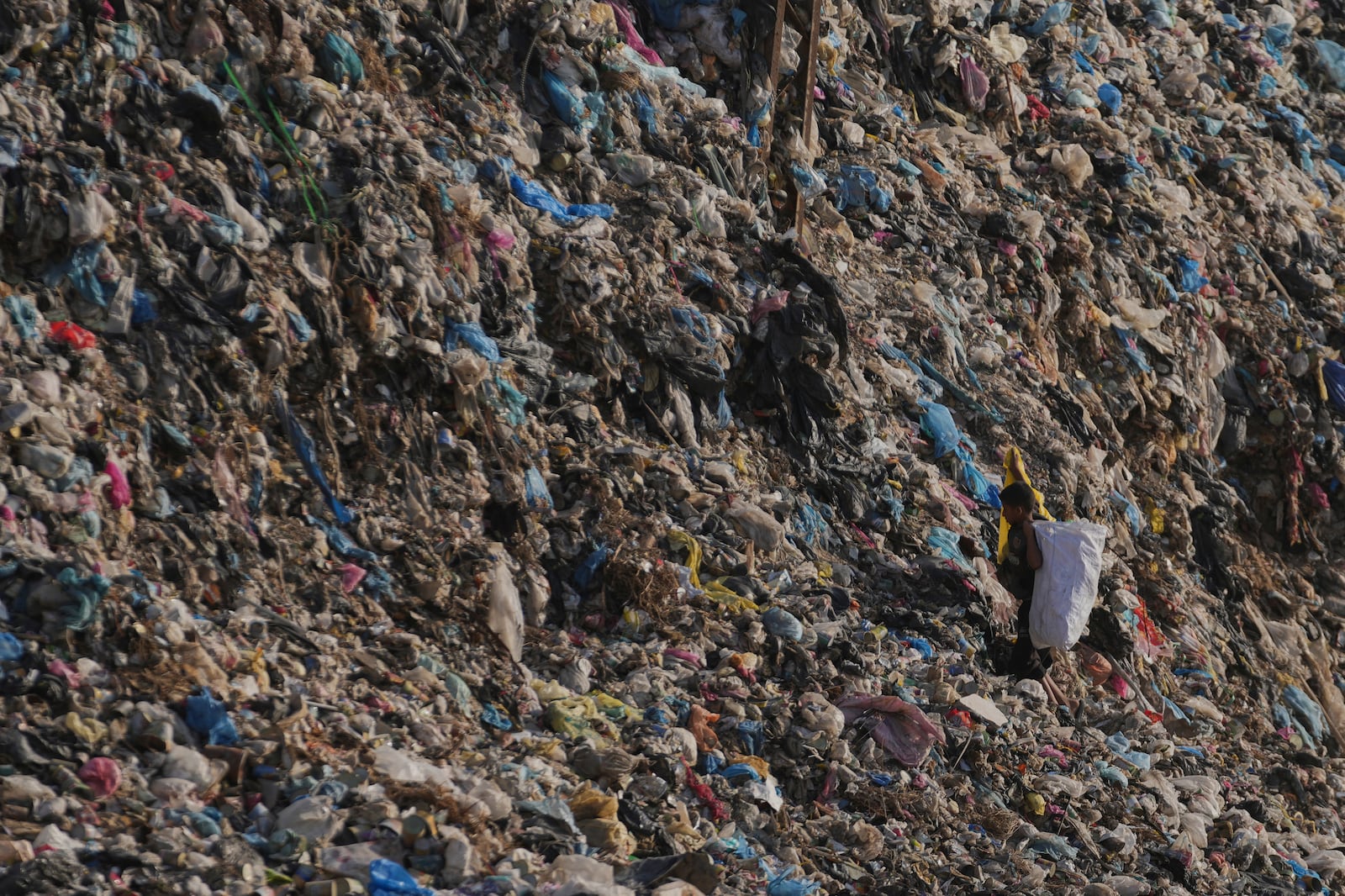 A Palestinian child search through a landfill for firewood, plastic, and canned goods in Al-Zawaideh, Gaza Strip, on Tuesday, June 24, 2025. (AP Photo/Abdel Kareem Hana)