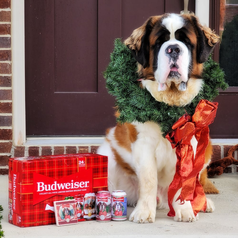 111821 beer dog