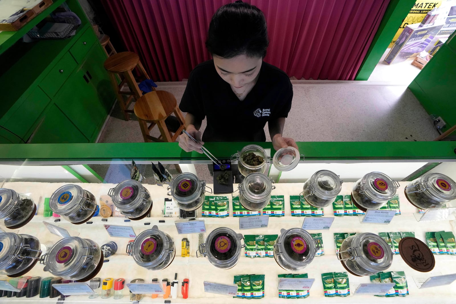 FILE- A staff prepares flower bud of cannabis for a customer at cannabis shop Bangkok, Thailand, July 18, 2024. (AP Photo/Sakchai Lalit, File)