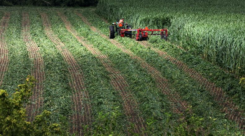 A file photo of a farmer as he harvests a field of Sugarcane along Tremont City Road. The state has recently announced the approval for local sponsors to purchase agricultural easements on 37 family farms. BILL LACKEY/STAFF
