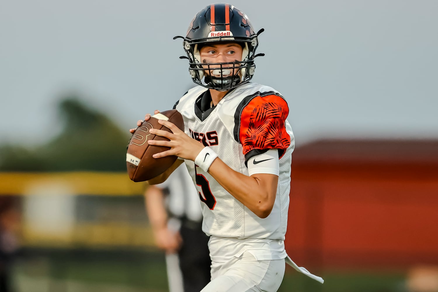 ne wls hsfb