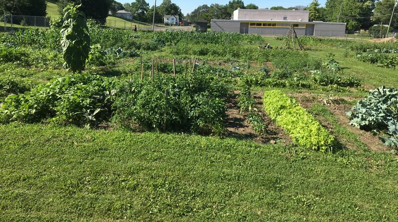 The Jefferson Street Oasis Garden.