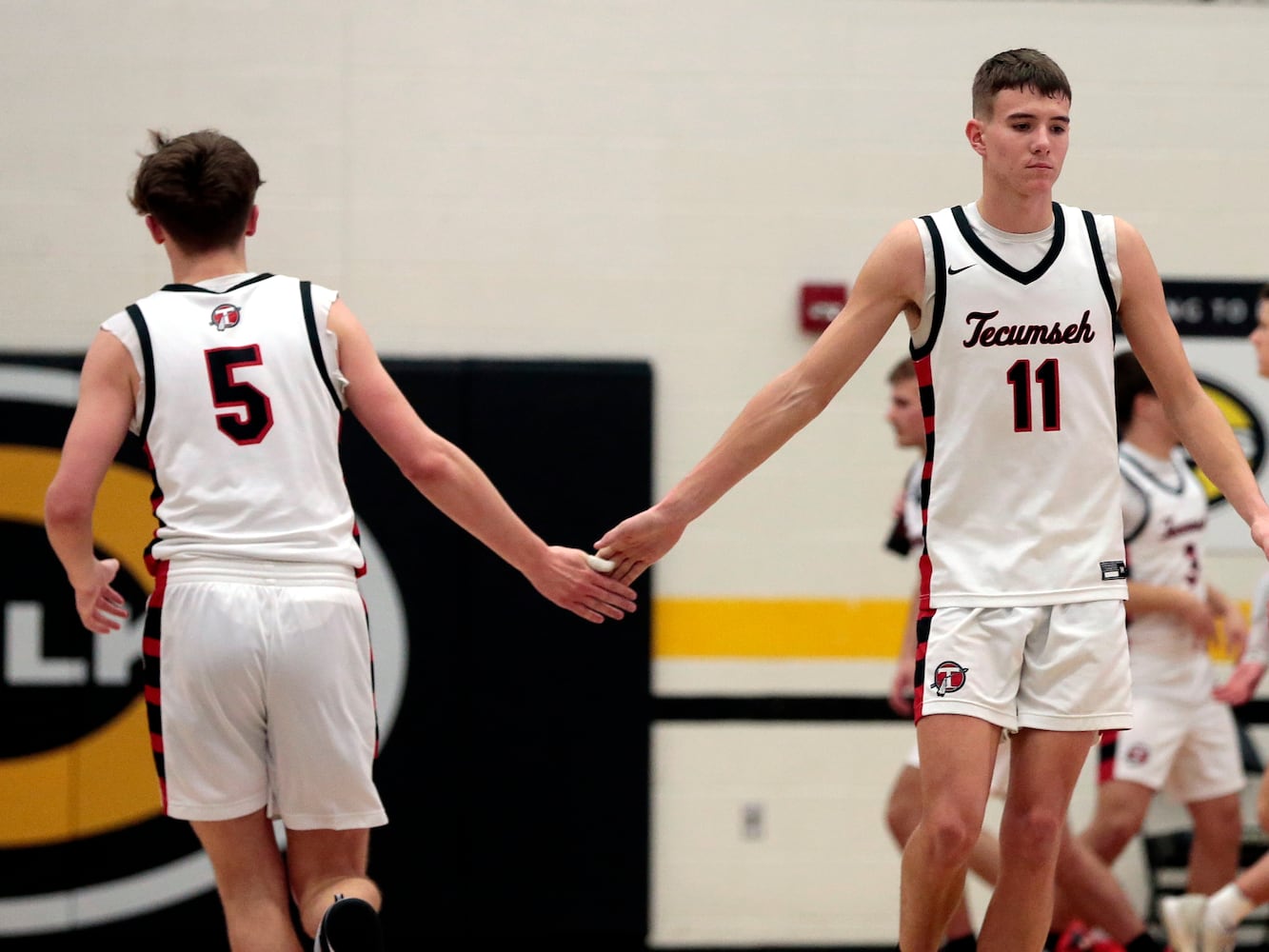 Stebbins Tecumseh basketball