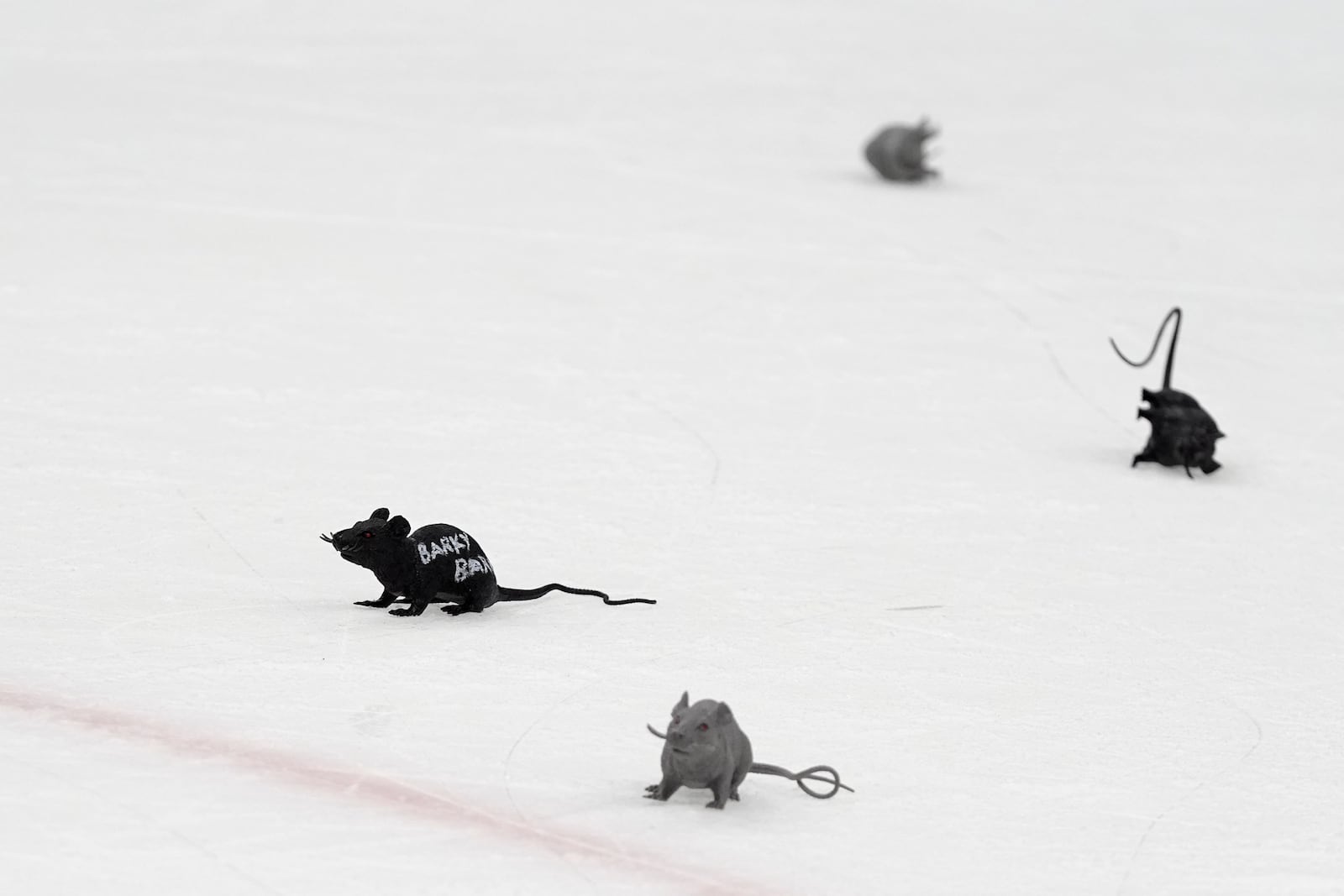 FILE - Plastic toy rats litter the ice after the Florida Panthers scored during the third period of Game 1 of the NHL hockey Stanley Cup Finals against the Edmonton Oilers, Saturday, June 8, 2024, in Sunrise, Fla. (AP Photo/Wilfredo Lee, File)